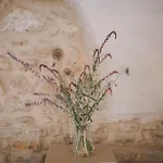 Rodin - Mas De Rey *